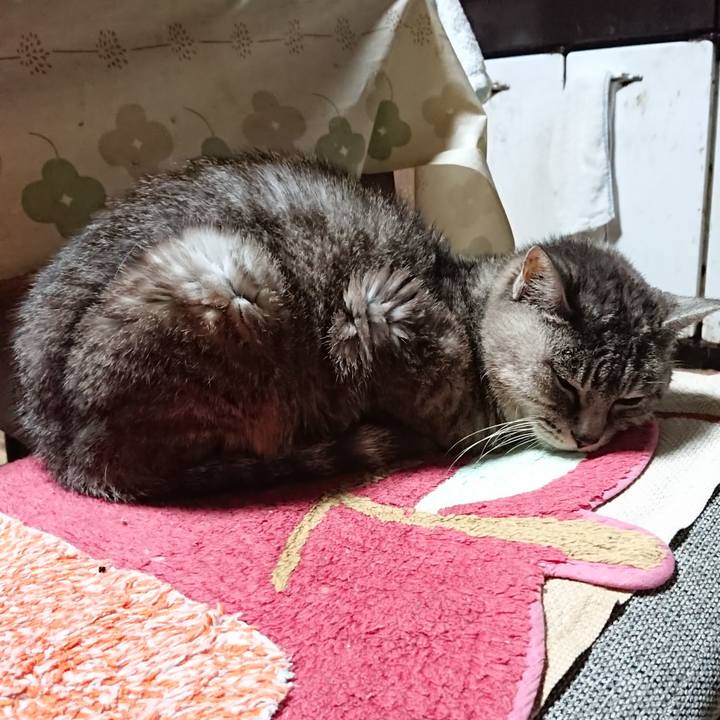 3414857b 92a0 448b a6e3 924498c3ad81 1569442008812