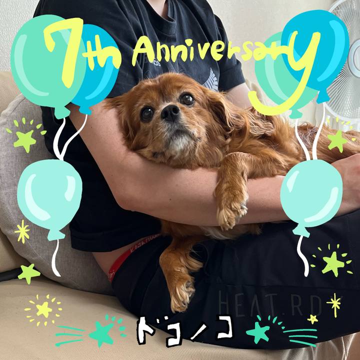 34148b8c 54c6 4a2e ad37 ae248f947b0e 1685973245664