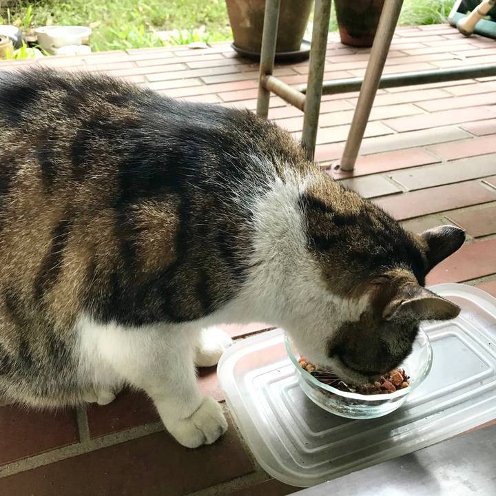 3414ab9b ee9a 4164 9ac1 391eb7d81f24 1510644415198