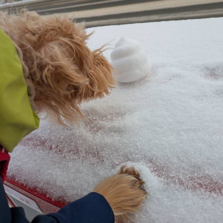 3414b69c ff8e 4562 8cd8 f4995beb5ee5 1736723259492