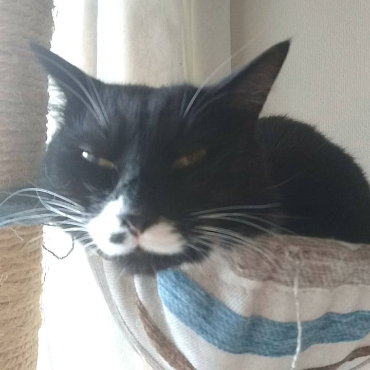 3414be91 ae4e 42c6 a57a 4afe6cd9907c 1527985171579