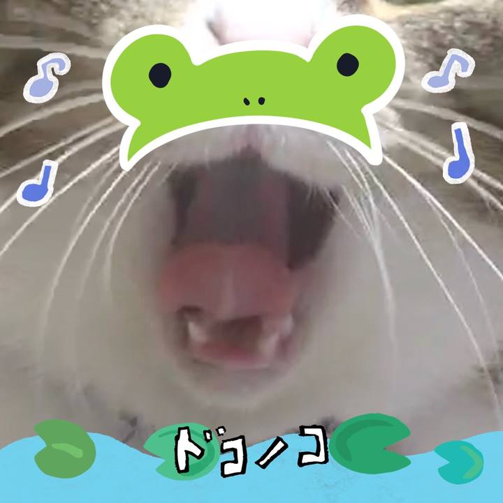 3414c9d8 d6b3 4ab7 8d8f b368e7c05ca8 1717755517770