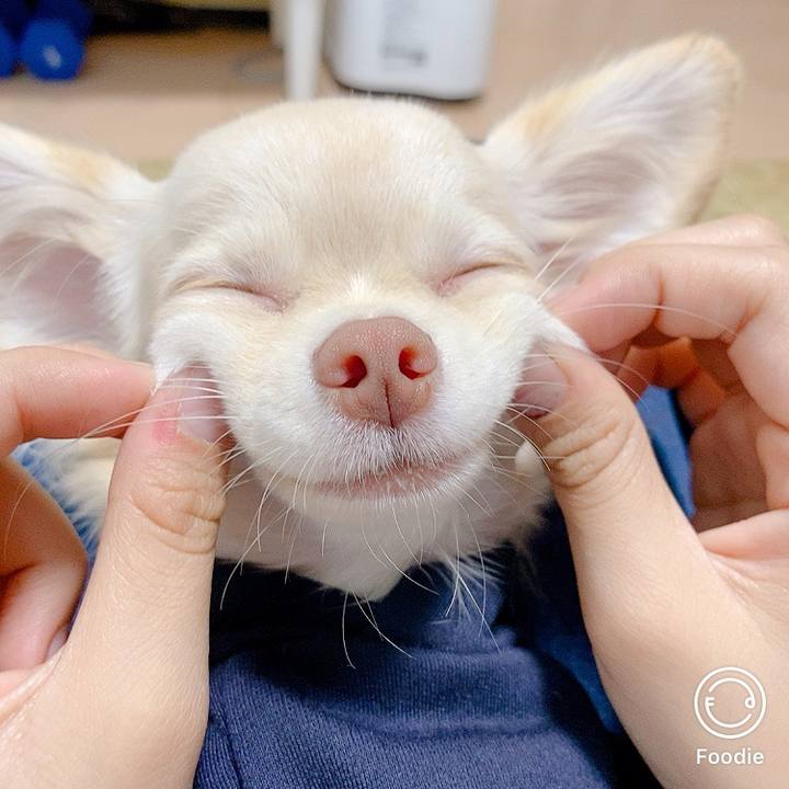 3414da95 ab6f 408d 9329 d48b93f1d652 1603274771687