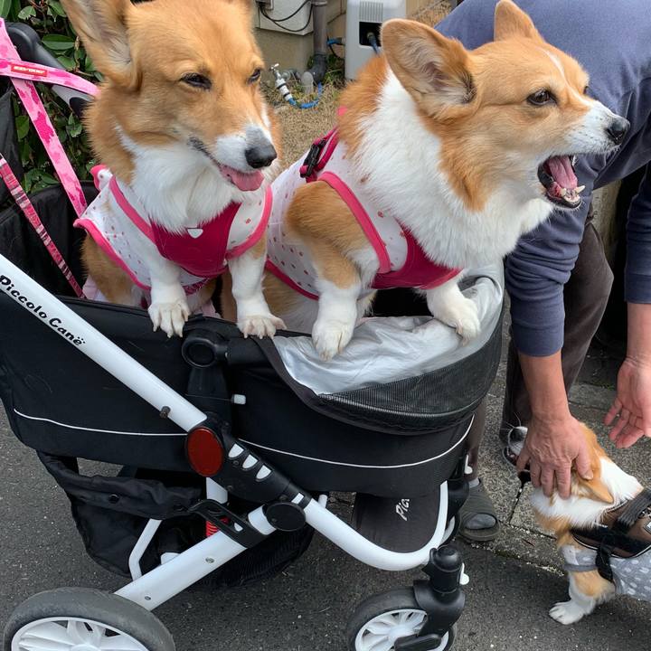 3414f645 c9c9 4683 904f ca3fbc524e5d 1616126501861