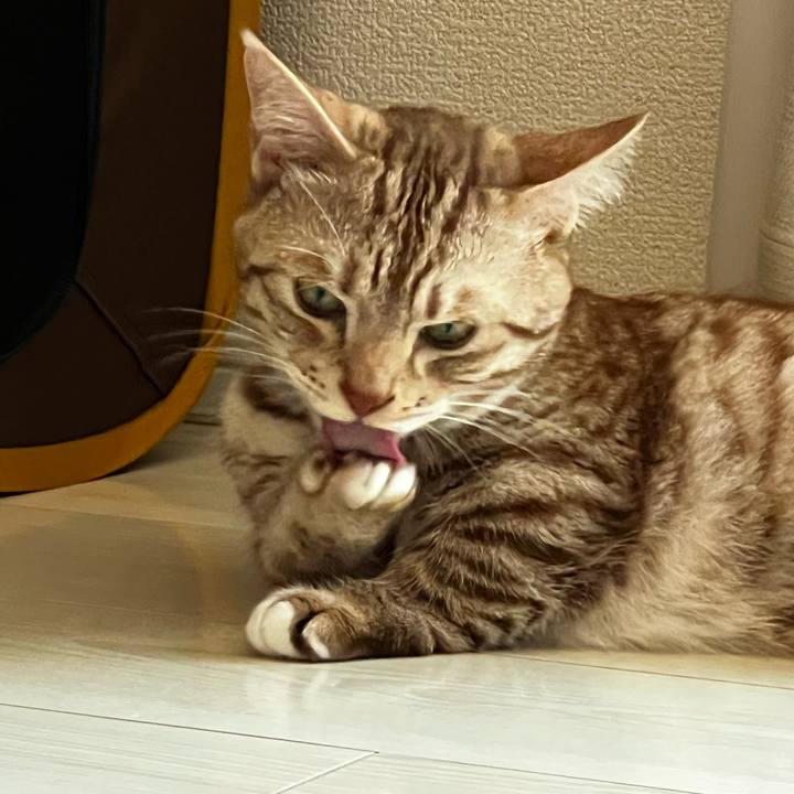 341527bd b03f 44e3 9c84 5b34659236a9 1659242407117