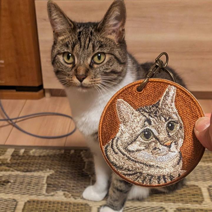 341541c2 2f8b 43eb 99eb 5c6a45f63825 1758705660239