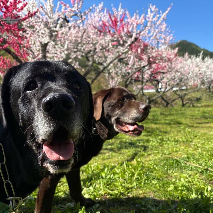 3415476c e1ee 4ddd 82b4 cabff5061015 1777082884585