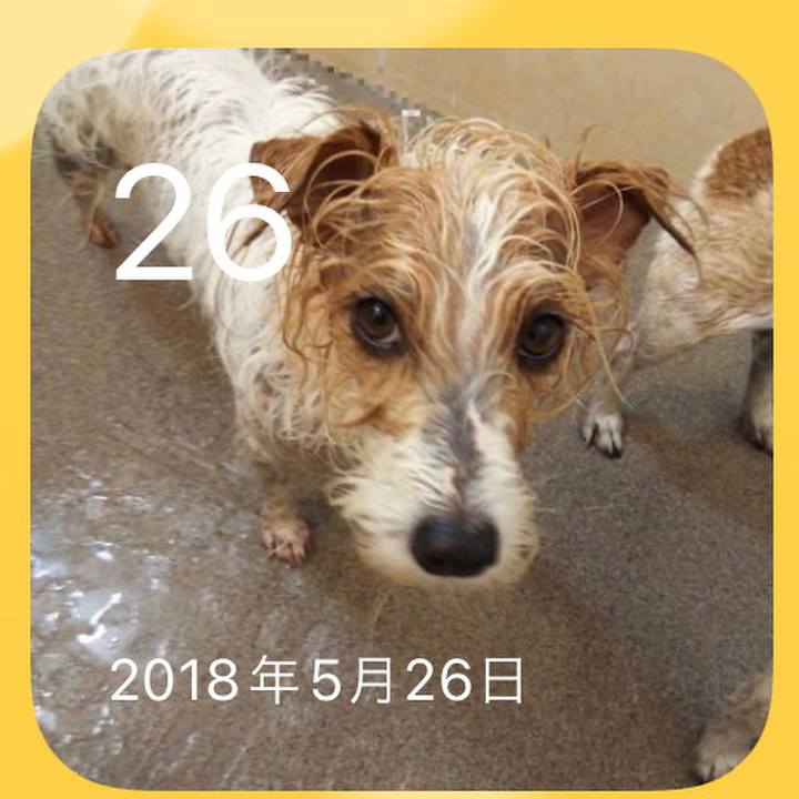 3415ac57 b0a2 43a8 84ce 5173fde4d3b0 1653570201867