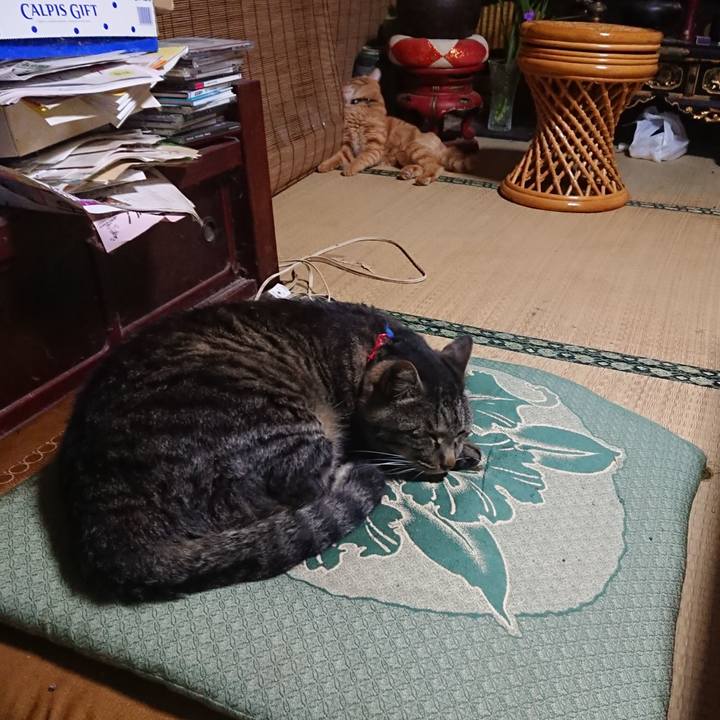 3415ba8c 80b5 432b 8482 4f9304dd72f8 1655416906172