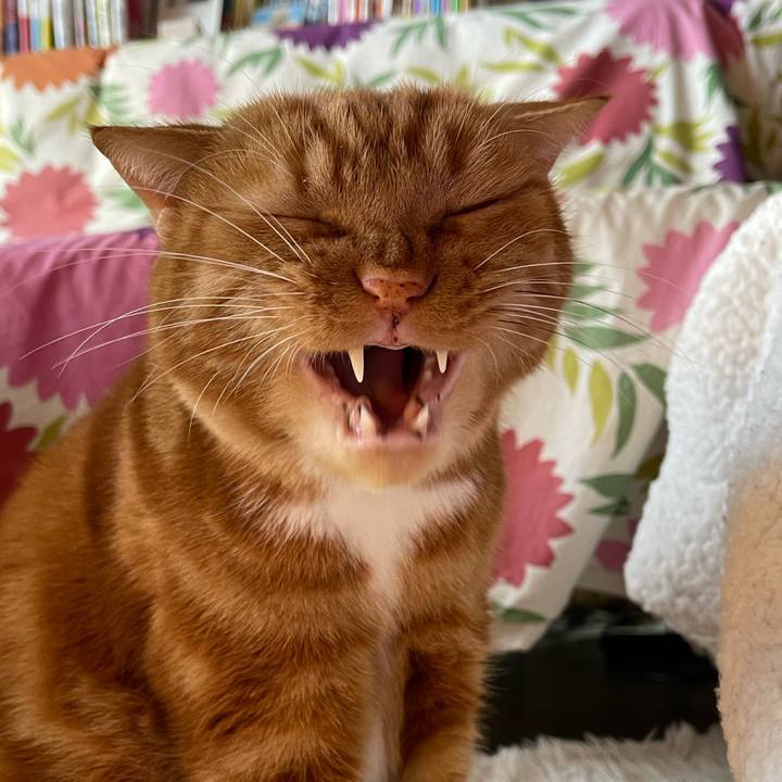 3415e561 04d9 4817 aff7 0cb042c97ad6 1679392078087