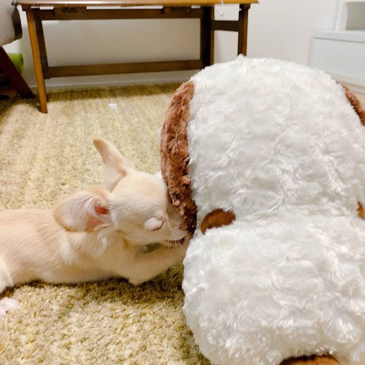 3415ea39 db43 4641 b837 0fe0b5eec573 1595480543410