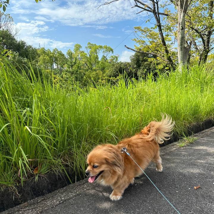 341630ad dbcc 455c b11f 948e0579062e 1692402681704