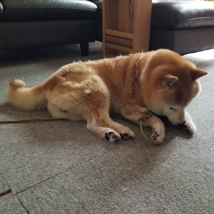 34165256 8046 4973 807c c79000483346 1656996948686