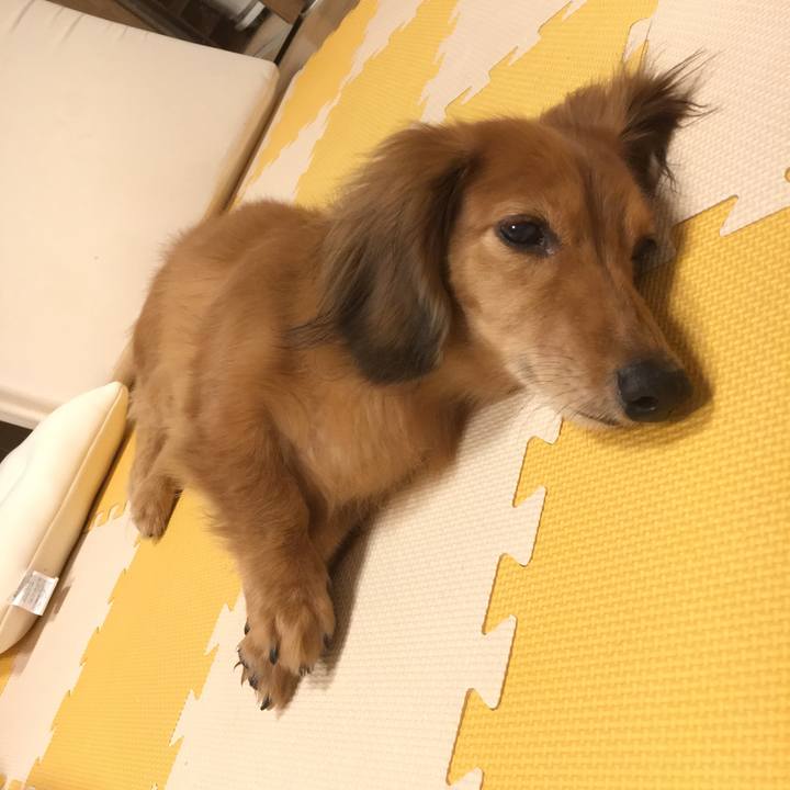 34165419 6f50 436b 97a9 1c453170f1b3 1541429517623