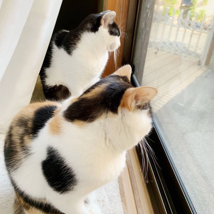 34167b07 2573 4720 b6d7 1319f2f6e7ae 1541041204763