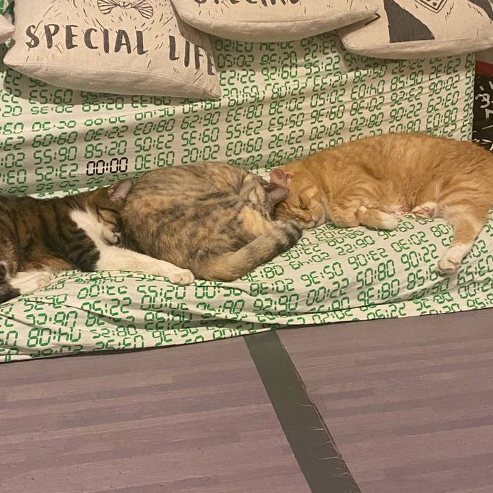 34168317 1da6 4ff3 8df6 9768779fe780 1662837832535