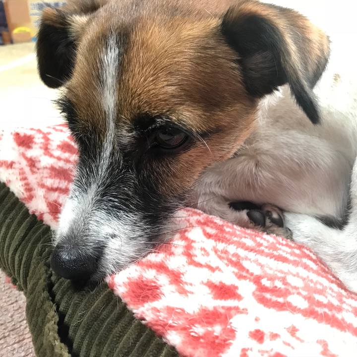 341688df 4f46 4034 a677 ed2f2bf2ad98 1539386373226