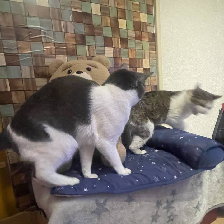 3416ed05 b078 429b bd2c 0b457b2c977a 1628685186539