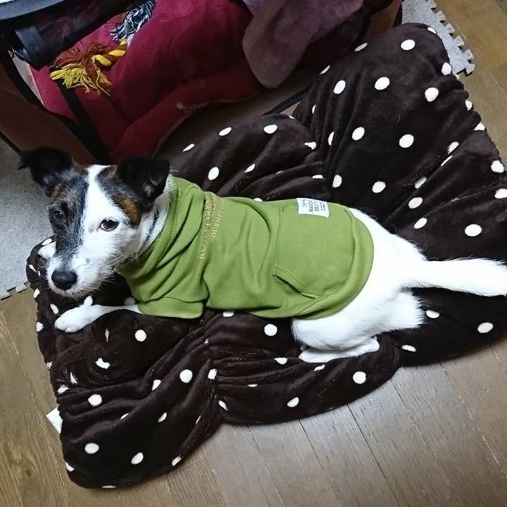 341712b0 a60c 475b 9274 c7fc6d4ba23c 1508064733741