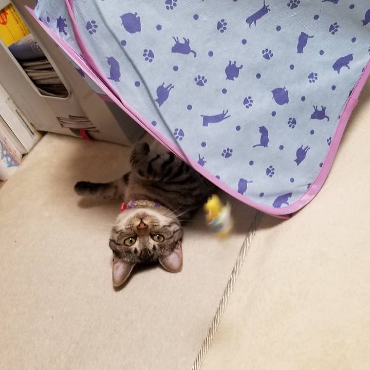 34171d1f 1e78 49ef 84b8 9d6458cf0cb0 1680219729752