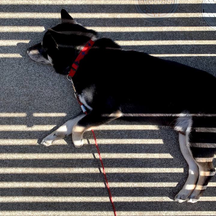 34174174 c2f3 417b bb72 497a055a4716 1588916267644