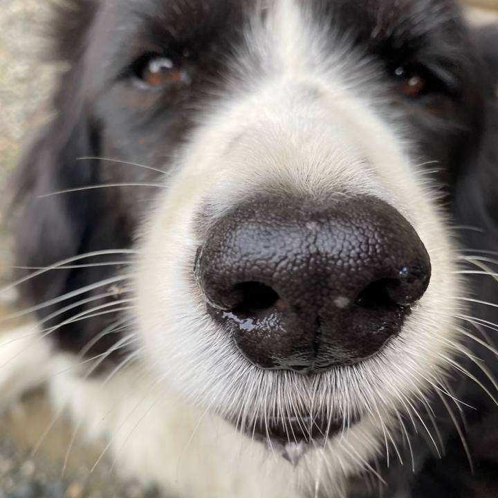 341788f0 2c2b 48d2 bbf2 700fdaad6f61 1664150346963