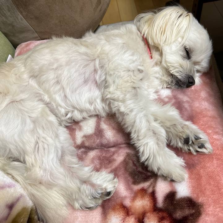 34179f31 d1ed 4e59 ba86 af50032af3de 1673088151282