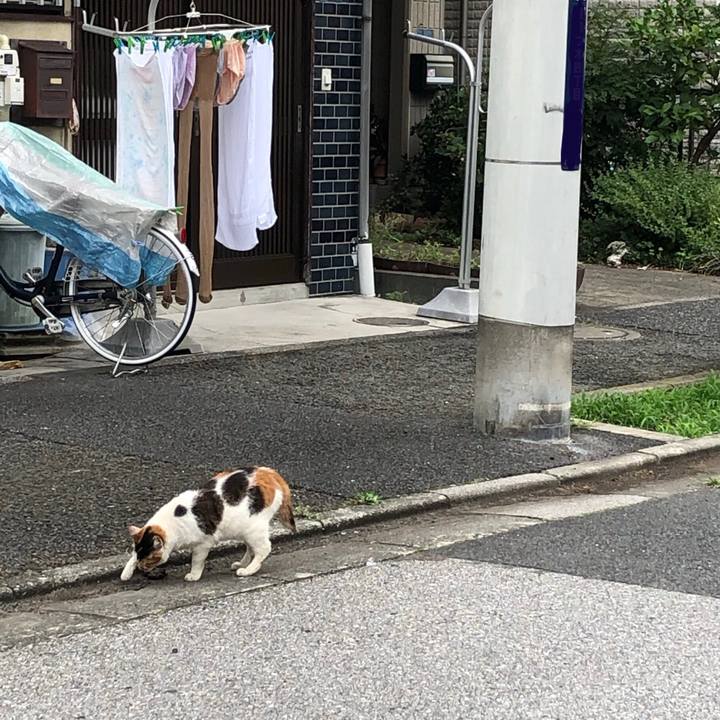 3417fc29 5ce9 4fae b040 0bb1e1edf451 1594309407936