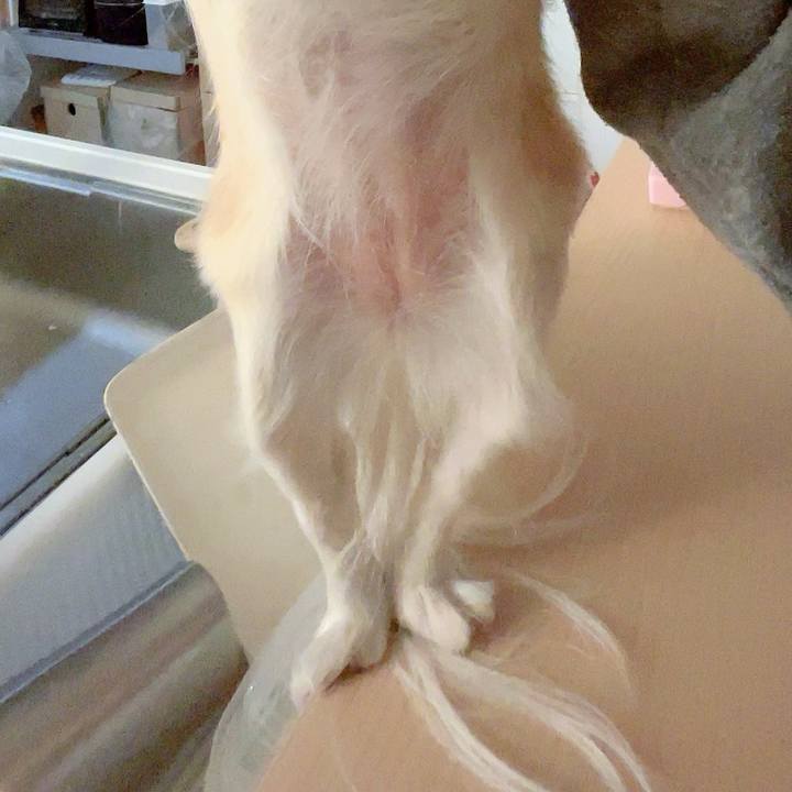 34181143 4a2b 477c 9334 fc9fa2b679e9 1711030355363