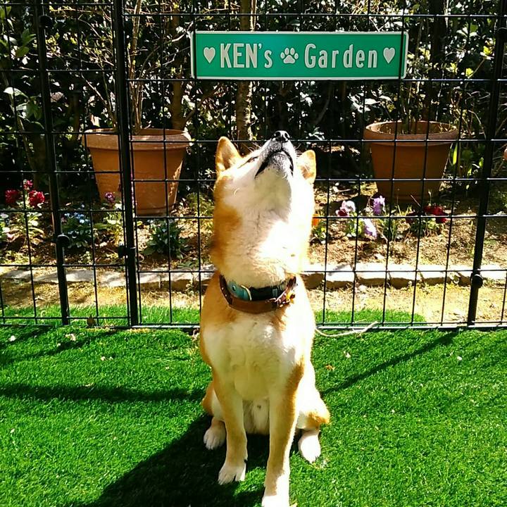 341840c0 e5ac 4e2a ac88 c003b2516034 1554785867351