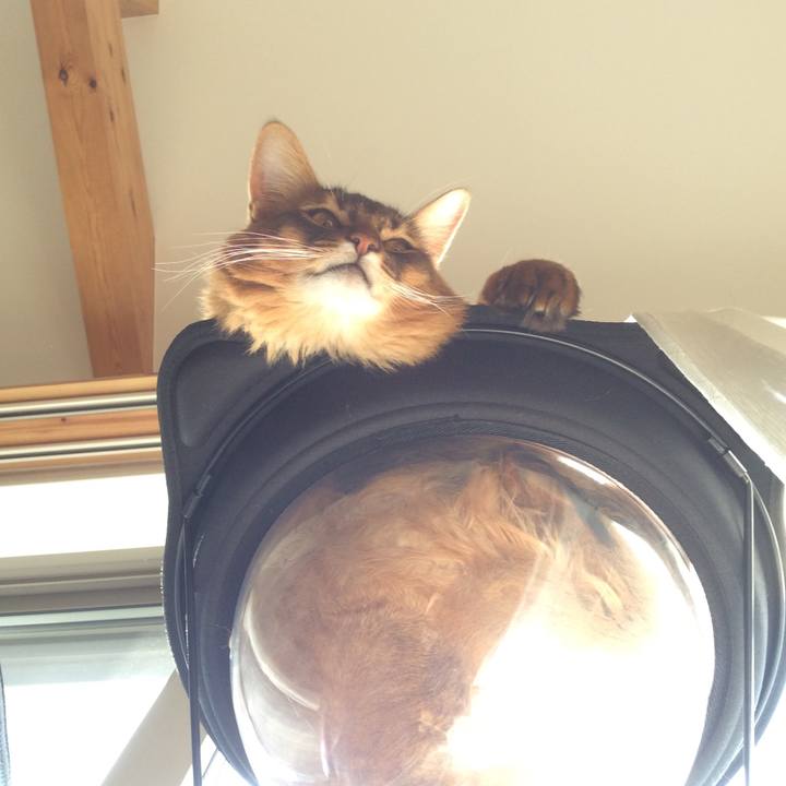 34189ede 569e 4f44 aea5 7ef963e5554f 1612915951291