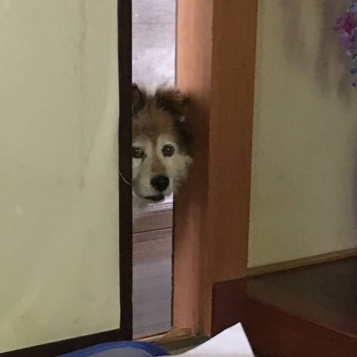 3418c7db 51f0 4786 b194 764ca4c9b392 1548010308317