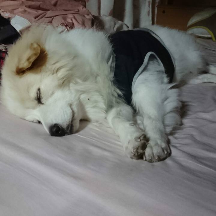 3418d8b0 cf95 4d36 af75 94a64e0b5c22 1639226361648