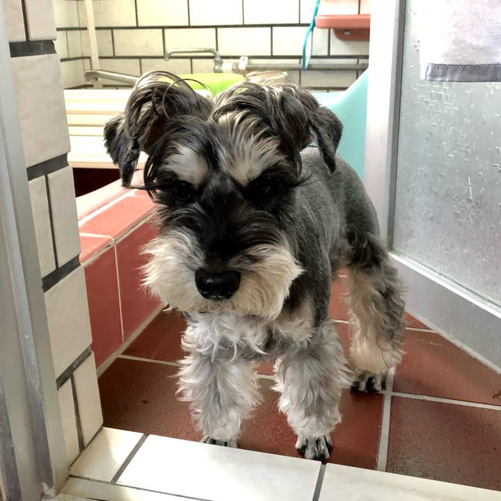 3418f0d2 7735 4e2a 96a7 919d0788d7ab 1673154761365