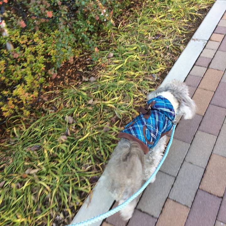 341931cb ccbb 4a4b a800 b27e9ef8234b 1512946721989