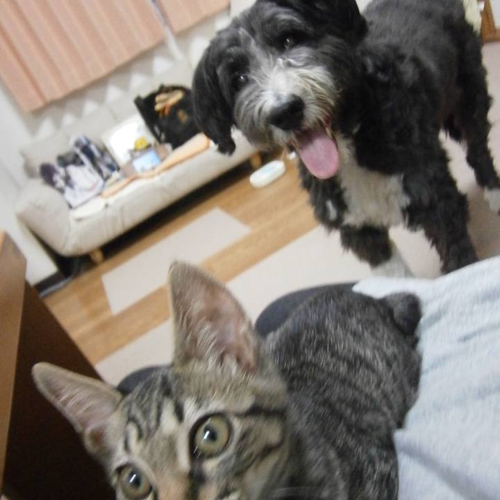 34193391 601e 4cfd 8f23 fed60e5c2f97 1525865075896