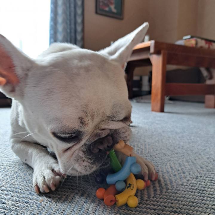 34193c40 03ba 4b87 ab56 e2c8f8370a36 1716980137158