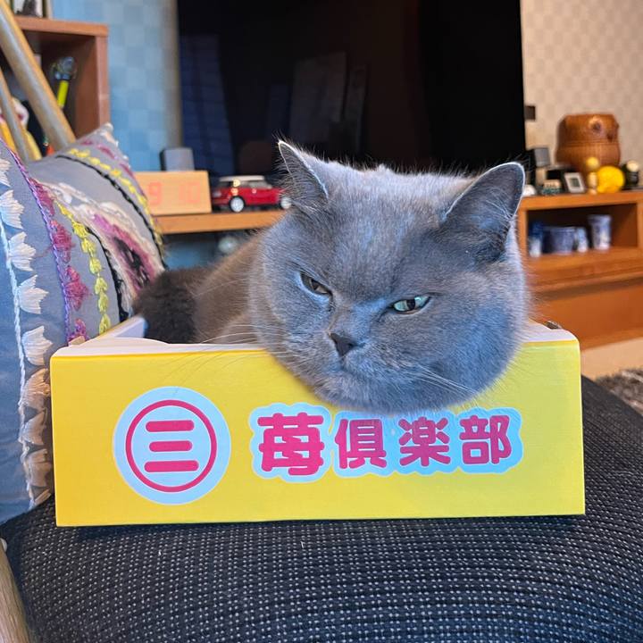 34199265 af44 497b 88de 4662f14a5582 1676865239998