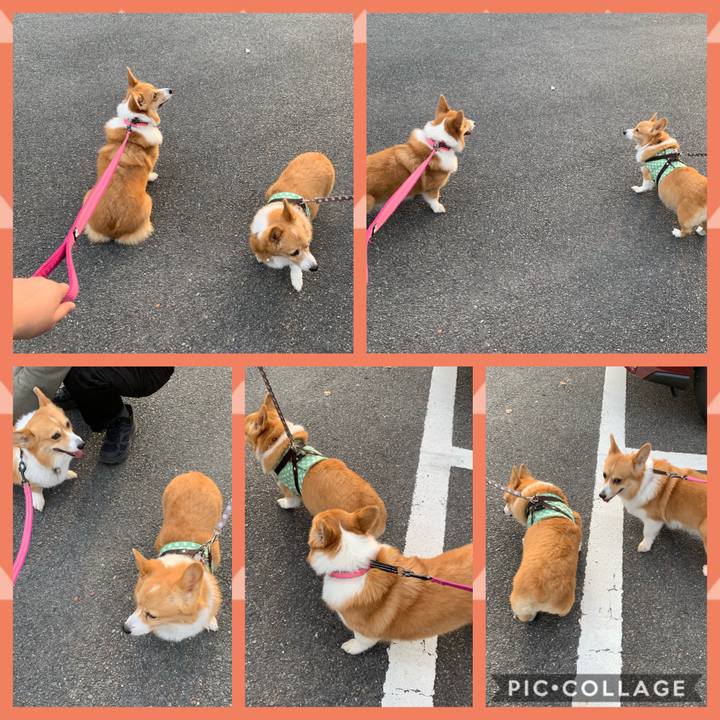 3419a5a2 c293 41ad 950d 91f5ab0e606a 1571450906960