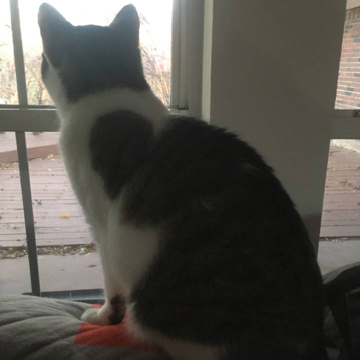 3419b886 96c6 4511 bdd0 20b8f53dd898 1645497124459