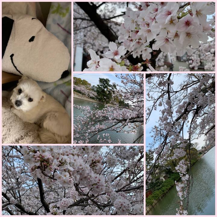 3419c958 c05b 4806 829e 14dac5fe9d8f 1585913482976