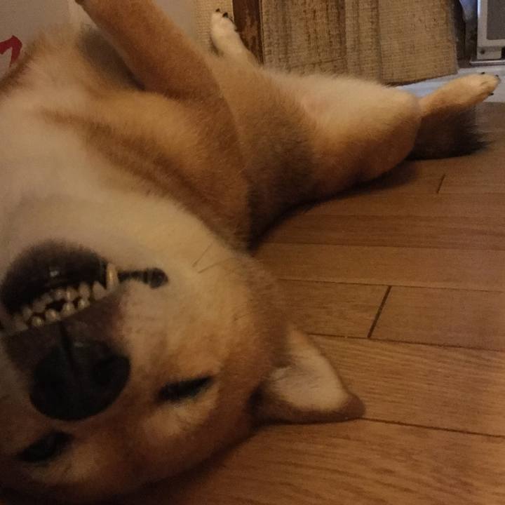 3419fe34 6673 4089 8539 4e28bbf62e13 1564317641692