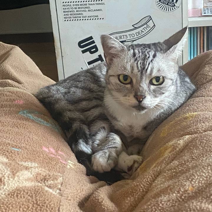 341a04aa a096 4161 9e31 a230b3de5d12 1729903142462