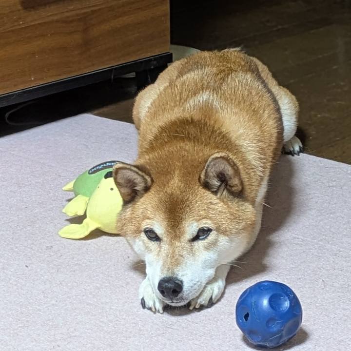 341a0666 9814 4e4a b5b1 58106fba4c75 1758599710157