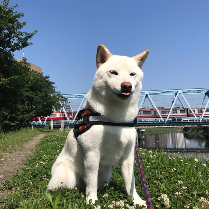 341a125a ecf7 4429 9bc0 7efe35456103 1529885761186