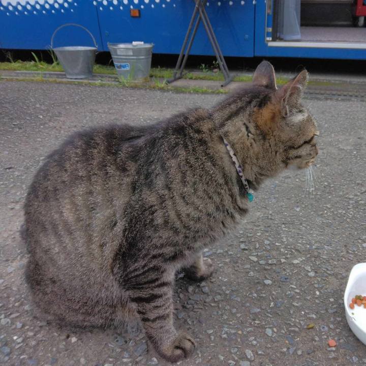 341a1f0b 6ca3 4c66 9f85 c587254516d8 1689379677470