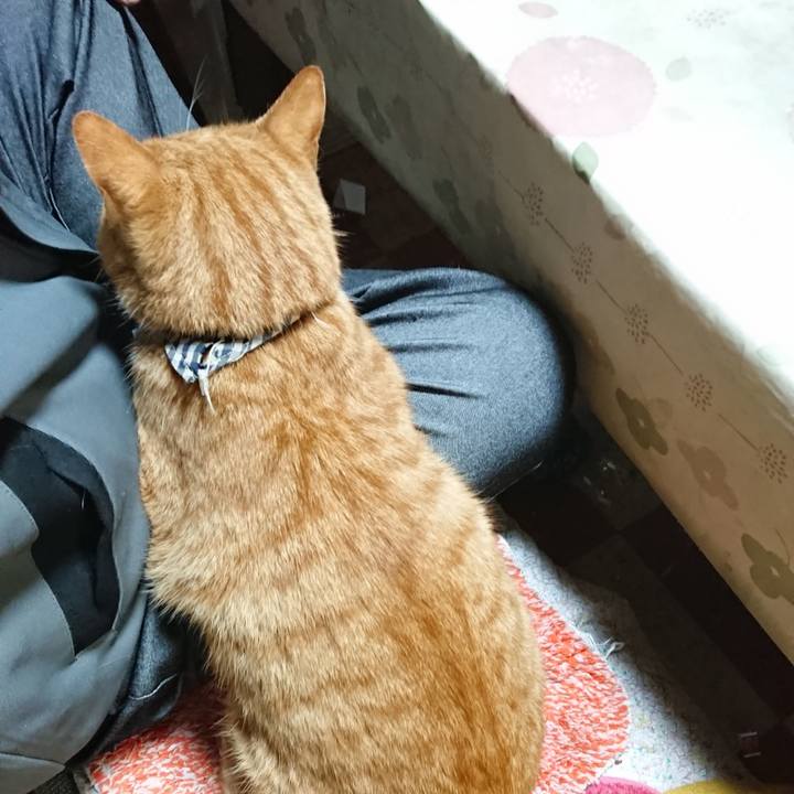 341a71f1 4c68 4166 a81a d255706833a4 1572997991206