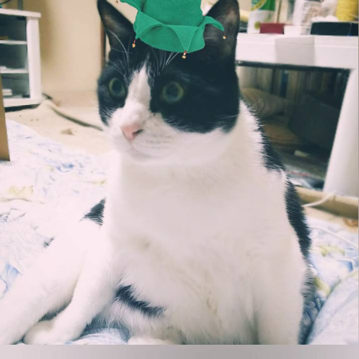 341acc1e d5c8 4fd3 ac41 00b8fe07c7ea 1545295330704