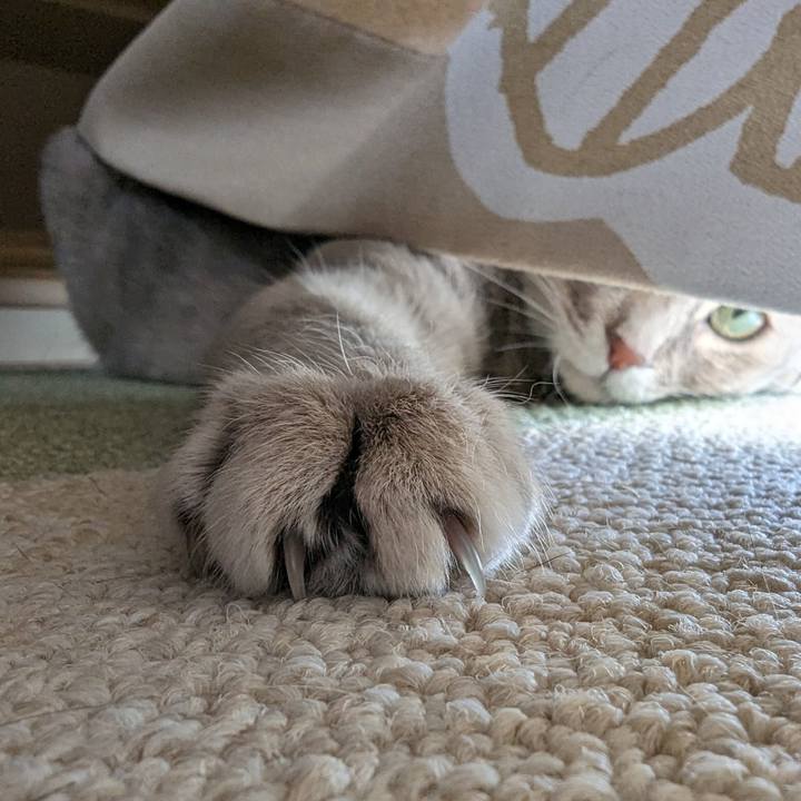 341ad38f 6553 4ea8 a04a 042d14451e68 1716264303805