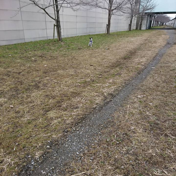 341adb24 514f 401d 942f e2755443b2cb 1517706262558